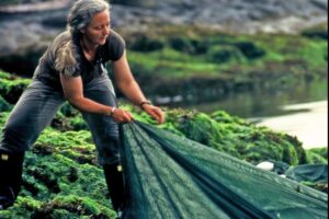 Marine Biologist Alexandra Morton on Fish Farms, Wild Salmon and the Southern Resident Orcas, and Zoe Peled on the Vancouver Vegan Resource Centre
