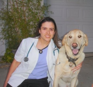 A Show For Our Animal Companions
