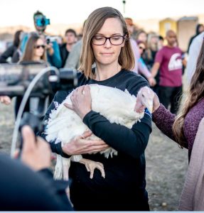 100 Turkeys Saved from the Slaughter of Thanksgiving, and Amy Quichiz of Veggie Mijas