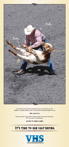 cgy-calf-roping-ad