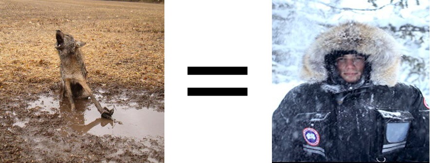 canada goose use wolf fur canada goose use wolf fur