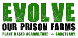 “Evolve Our Prison Farms” Activist Calvin Neufeld on Sanctuaries Over Killing