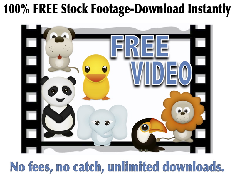 Sandra Mohr, Free Animal Video & Robert Light, Aquarium politics