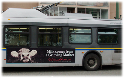 CCTV in UK Slaughterhouses, and GoVeganNow bus ad campaign