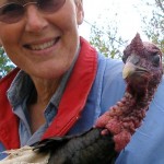 Women’s Day: Speaking Up for Sister Species and Mother Nature
