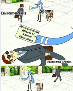 Is it Possible to be an Environmentalist Without Being Vegan?