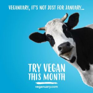 Encore Show: Go Vegan for 2019, with the Indian Rock Vegans, and the Miracle Story of Nine Newborn Babies